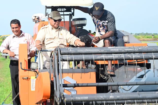 Mentan Targetkan Lahan Pertanian di Merauke Dapat Tingkatkan IP Hingga 300