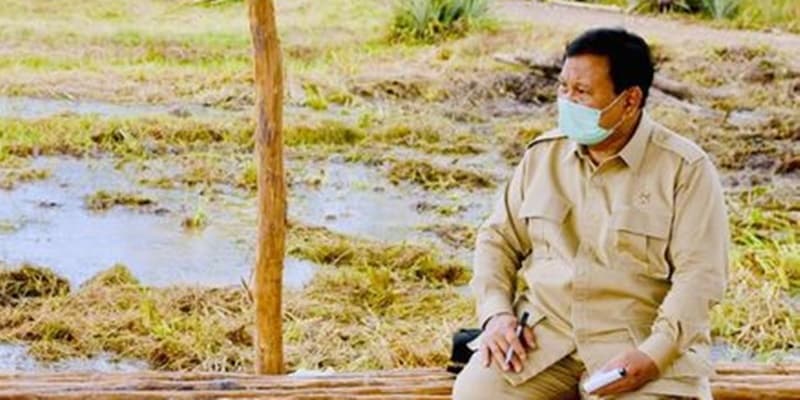 Menuai Banyak Kritikan, Prabowo Tegaskan Food Estate Adalah Keharusan
