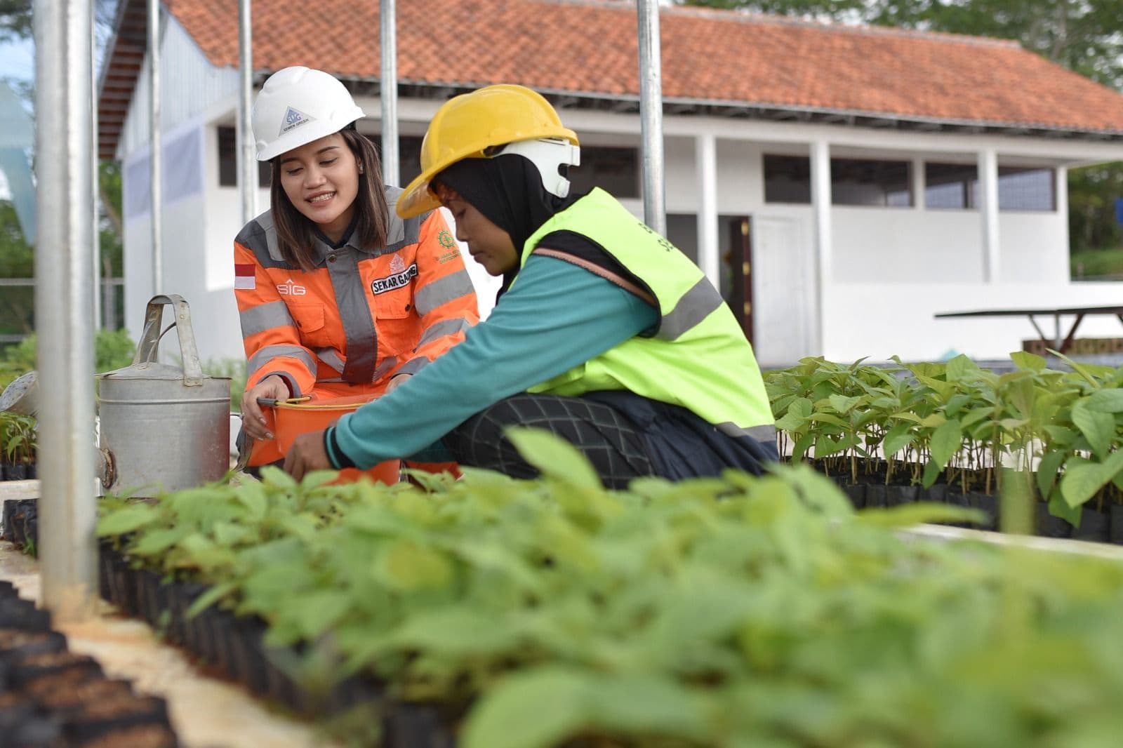 Laba SIG Melonjak 363,1% hingga September 2026, Penjualan Semen Tumbuh Positif