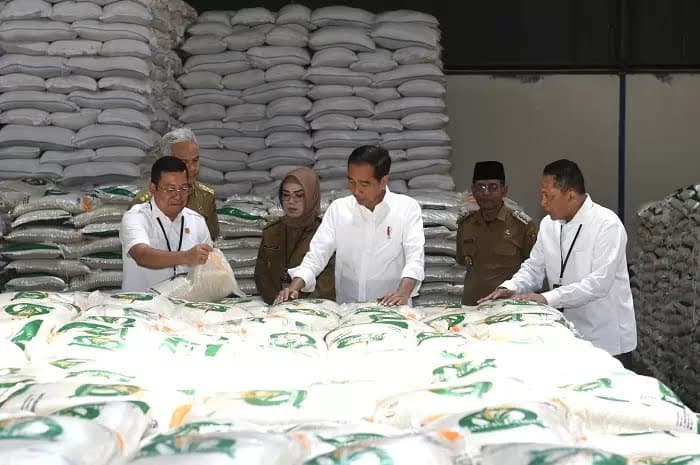 Bantuan Pangan dan Pasar Murah Demi Jaga Stabilitas Harga Beras di Masyarakat