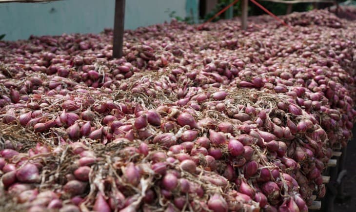 Hari Ini, 25 Truk Bawang Merah Asal Brebes Tiba di Jakarta