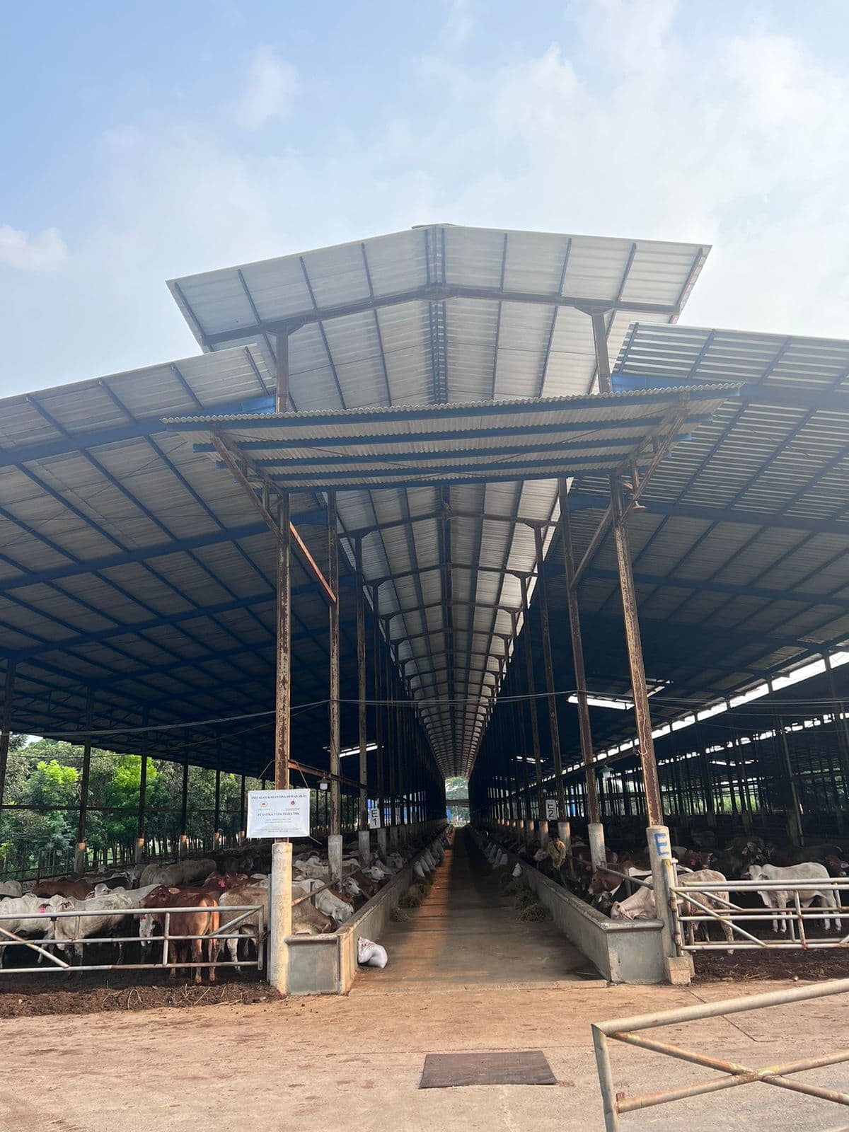 Asia Agri Mampu Bawa BEEF Raup Laba Rp52 Miliar Pada Semester I 2023