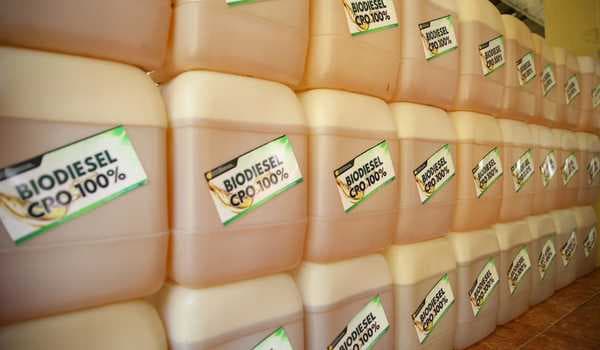 Rugikan Pemerintah, Indonesia Protes Uni Eropa Terapkan Bea Masuk Produk Biodesel