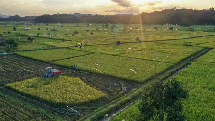 Targetkan Cetak Sawah 400 Ribu Hektar, Pemerintah Siapkan Anggaran Rp10 Triliun