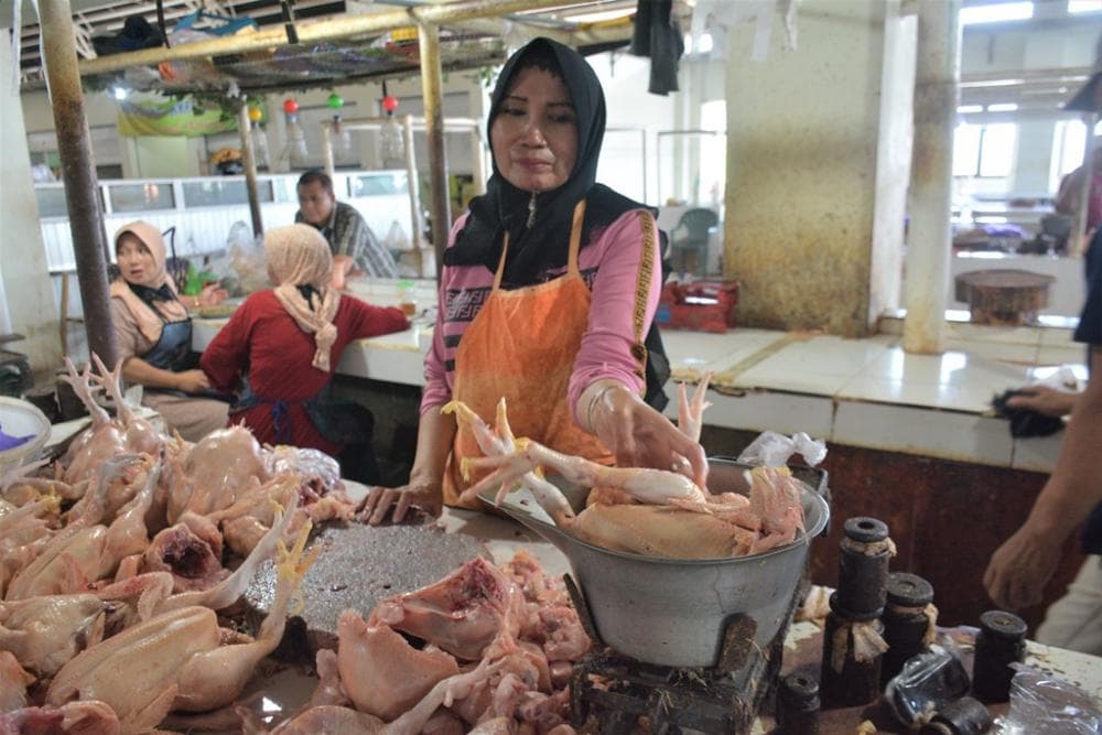 Kementan Sebut Ada Penyesuaian HAP Terkait Kenaikan Harga Daging Ayam Ras dan Telur