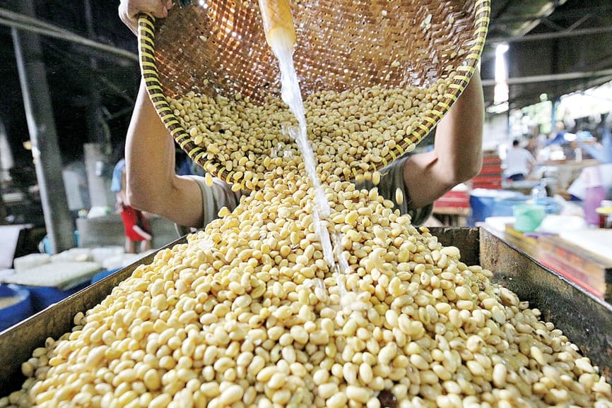 Kemendag Pastikan Stok Kedelai Aman Untuk Kebutuhan Nasional