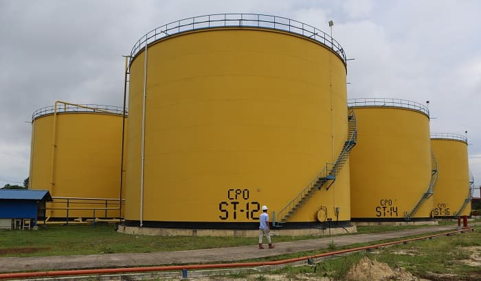 DSNG Bukukan Laba Bersih Rp915 Miliar pada Paruh Pertama 2025, Melonjak 80% YoY