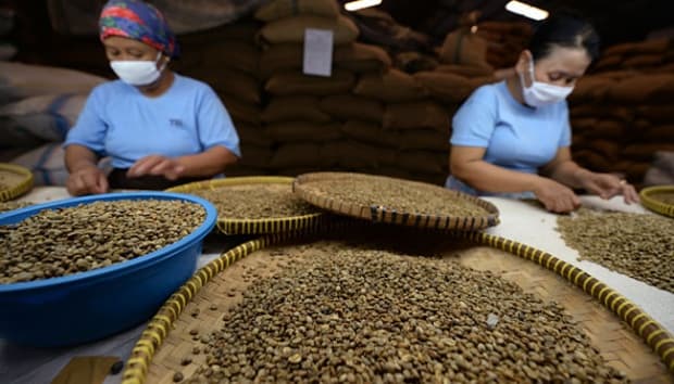 Sukses Ekspor Kopi ke 3 Negara, KepDes Sidomulyo : Inspirasi Buat KopDes Lain