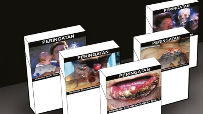 KNPK : Revisi Aturan Produk Tembakau Bisa Tingkatkan Peredaran Rokok Ilegal