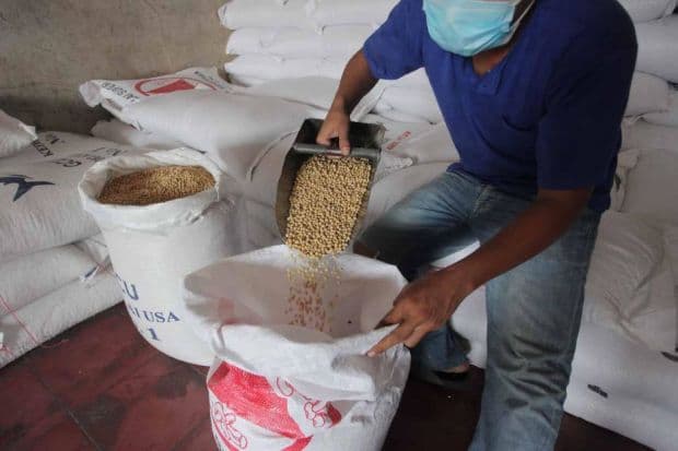 Kemendag Kaji Usulan Gakoptinda Tambah Subsidi Kedelai Jadi Rp2000/Kg