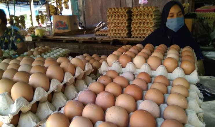 Harga Telur Ayam Naik, Ini Kata Kemendag