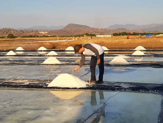 Sambut Swasembada Garam 2027, Importir Didorong Ikut Serap Produksi Lokal