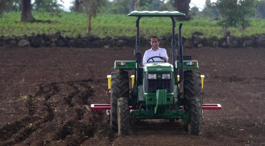 Pemerintah Berharap Kebutuhan Jagung Nasional Tercukupi