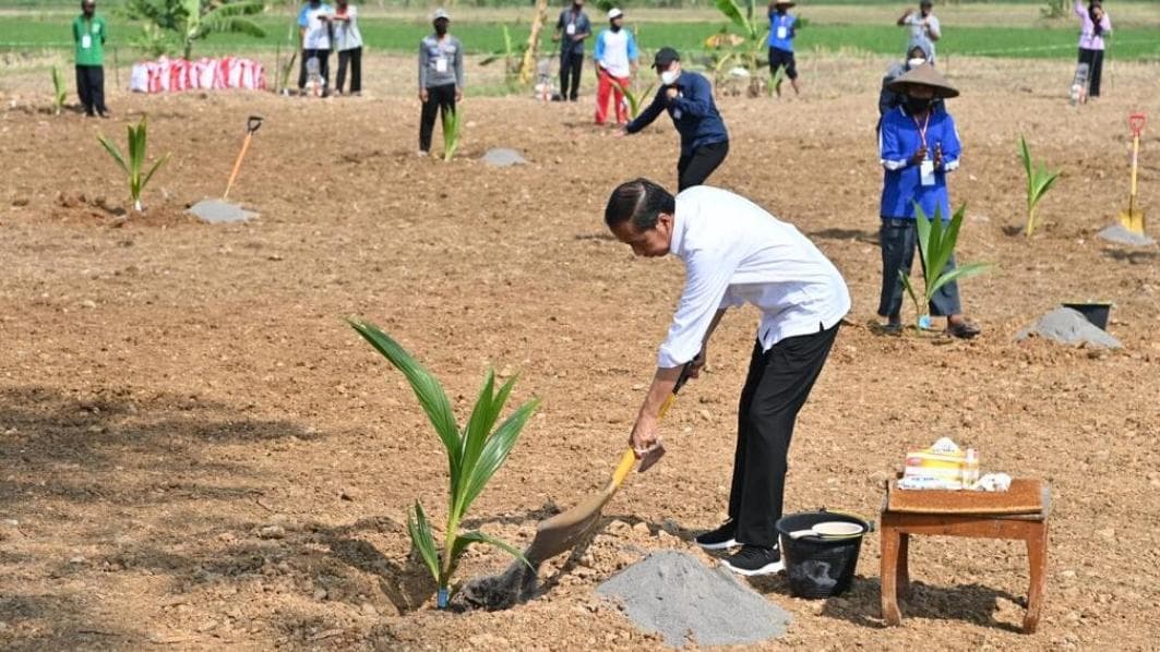 Pemerintah Dorong Penanaman Bebagai Komoditas Pangan di Lahan Tak Produktif