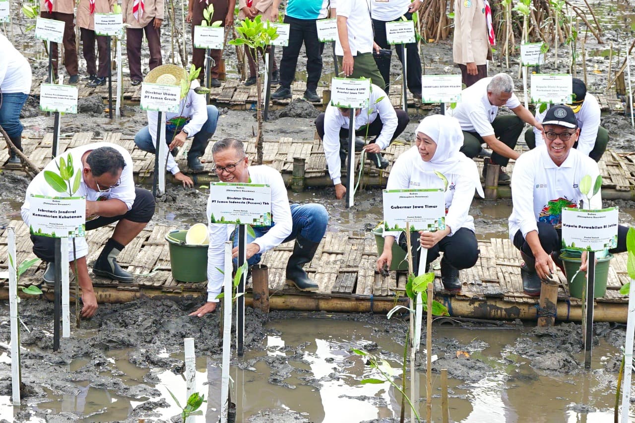 SIG Tanam 17.845 Bibit Mangrove di Jawa Timur
