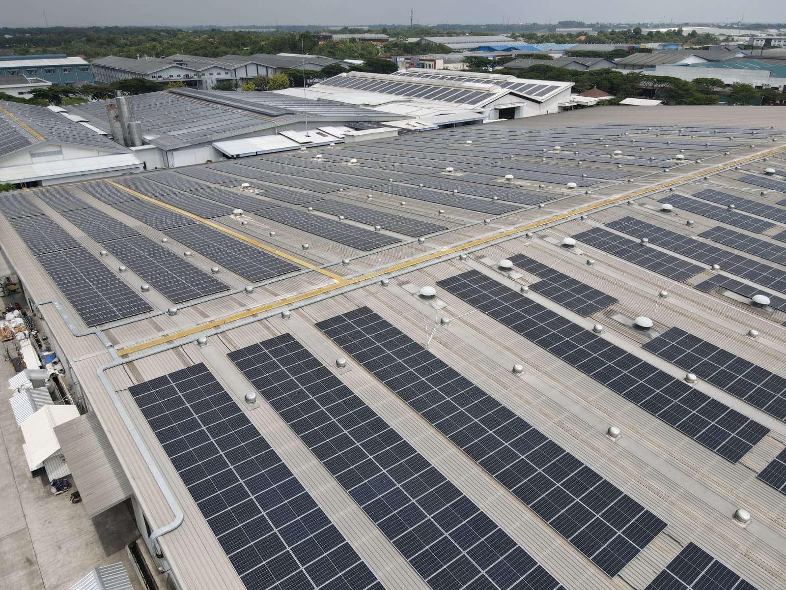 IMPC Incar Laba Tahun 2024 Sebesar Rp550 Miliar