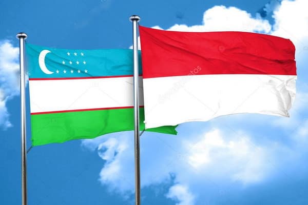 Maksimalkan Hubungan Ekonomi, Indonesia-Uzbekistan Sepakati Kelompok Kerja Bersama