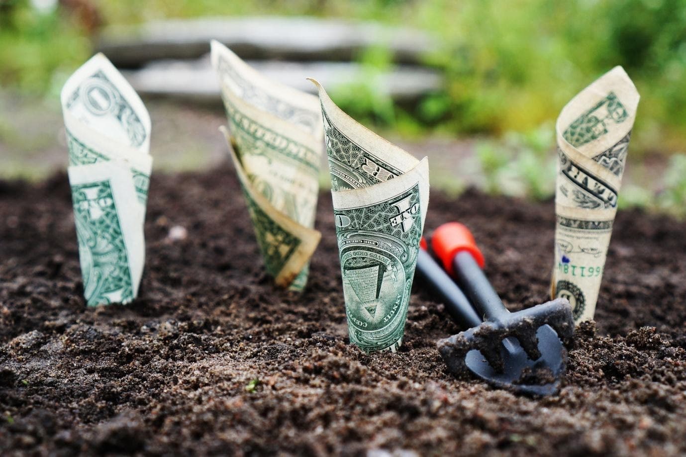 Ingin Investasi Saham? Cek di Sini Apa yang Perlu Dipahami!
