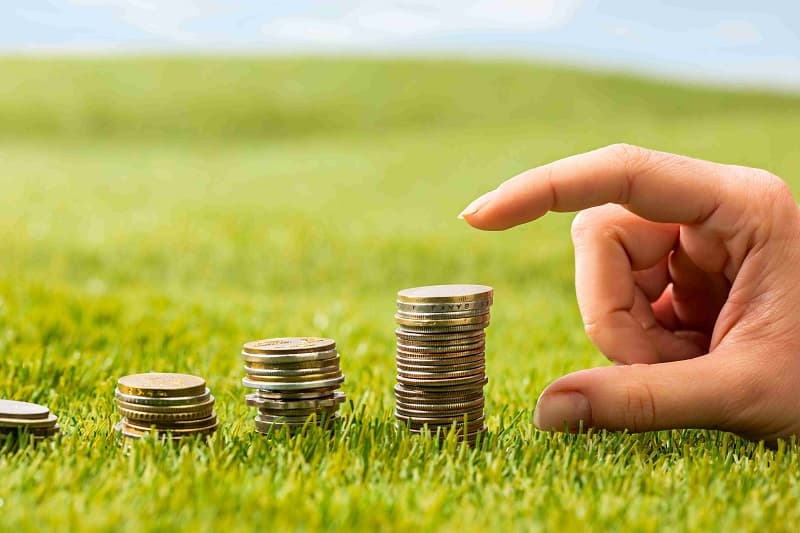 4 Alasan Mengapa Reksa Dana Cocok untuk Investor Pemula