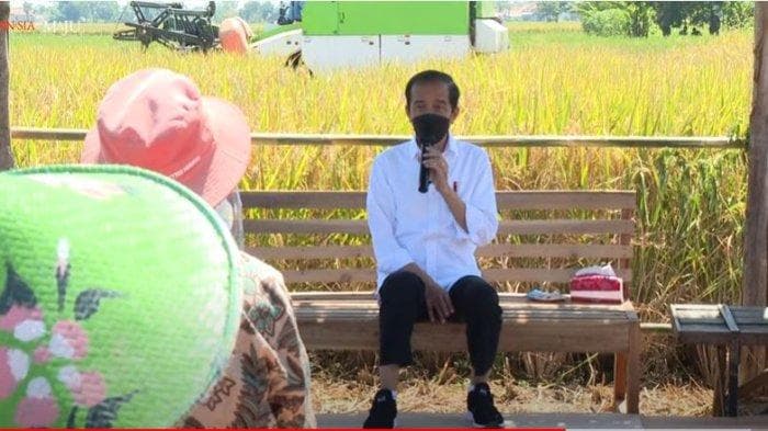 Jokowi Tegaskan Tidak Ada Impor Beras Hingga Akhir Tahun