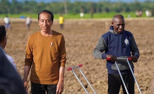 Jokowi Siapkan 10 Ribu Hektar Tanah di Papua Buat Tanam Jagung