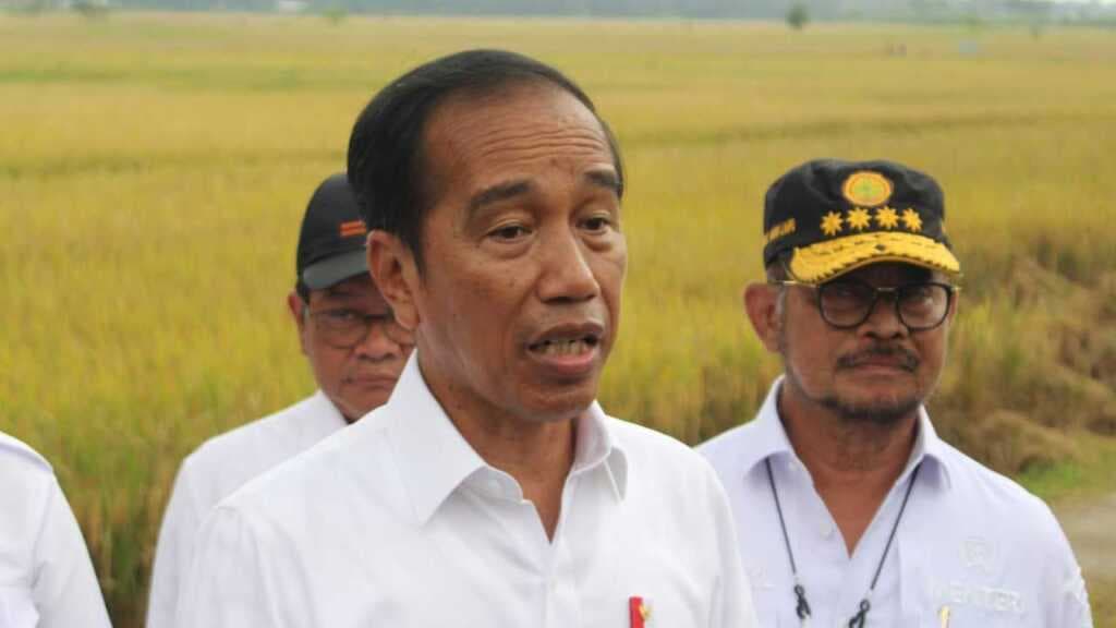 Jokowi Sebut Sektor Pertanian Miliki Peran Penting Bagi Indonesia