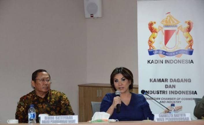 Akibat Corona, Kadin Sebut Usaha Transportasi Nasional Butuh Insentif