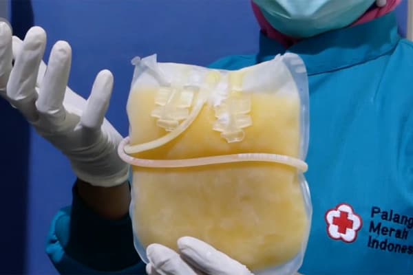 Kadin - PMI Teken Kerjasama Untuk Penyediaan Sarana dan Prasarana Donor Plasma Konvalesen