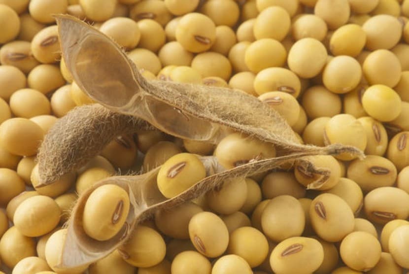 Badan Pangan Terbitkan Daftar Harga Acuan Kedelai Hingga Daging Sapi