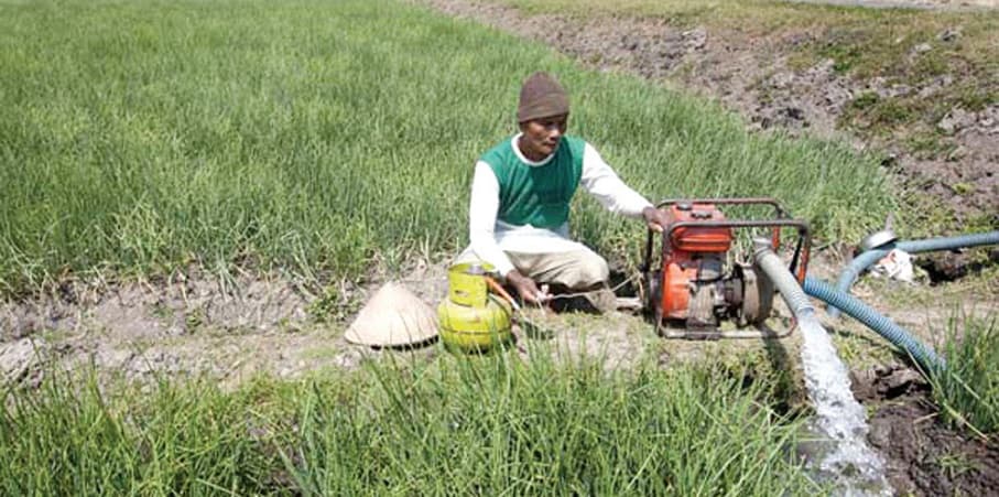 Musim Kemarau 2019, Pemerintah Siapkan Antisipasi Untuk Produksi Pertanian