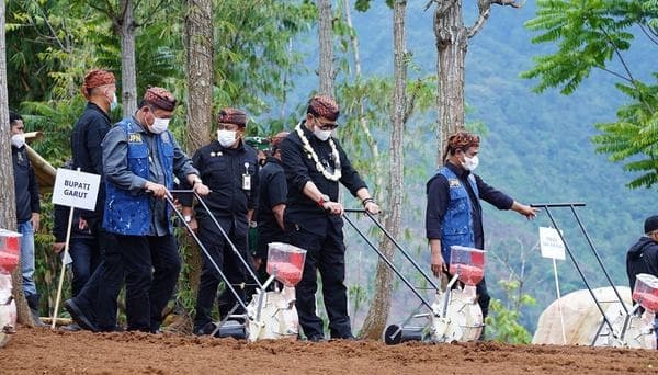 Dukung PEN, Mentan Ajak Pemda Optimalkan Lahan Pertanian