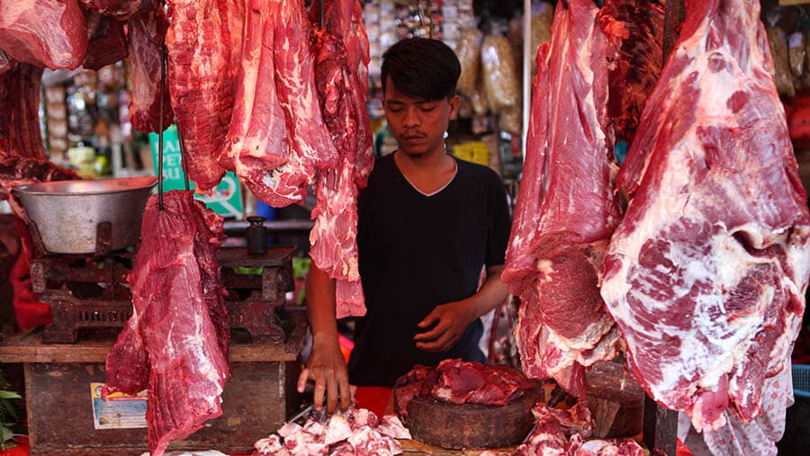 Perintah Mentan, Harga Daging dan Telur Ayam Harus Sesuai HET