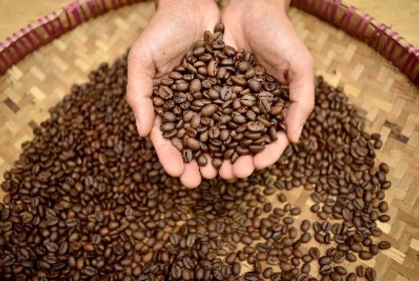 Kopi Situbondo Dapat Pengakuan Internasional, Menteri Bappenas : Sudah Waktunya Mendunia