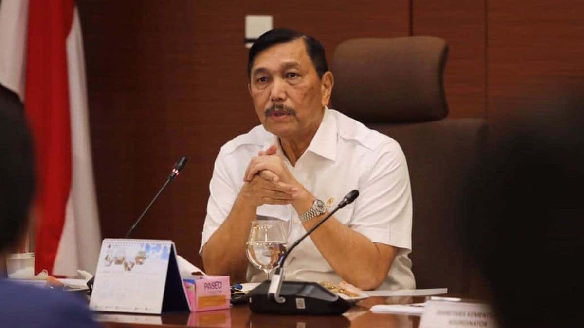 Luhut Minta Sosialisasi Beli Minyak Goreng Pakai Aplikasi PeduliLindungi Diperpanjang