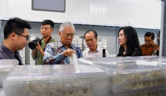 Lobi Ekonomi, Mendag Ke Tiongkok Naikan Nilai Ekspor Dalam Negeri