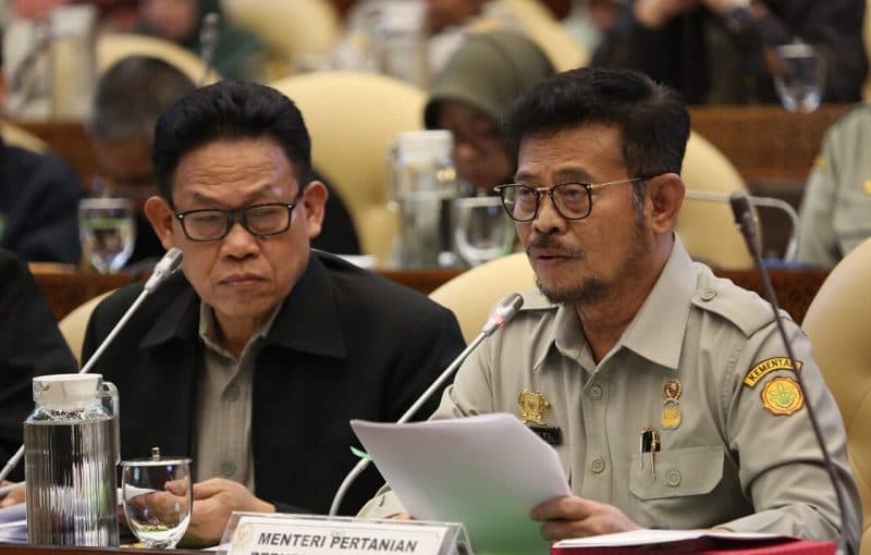 Mentan Pastikan Program Food Estate 2021 Tidak Terkendala Cuaca