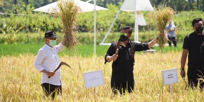 Mentan Ingin Gabungkan Pertanian Dengan Sektor Pariwisata