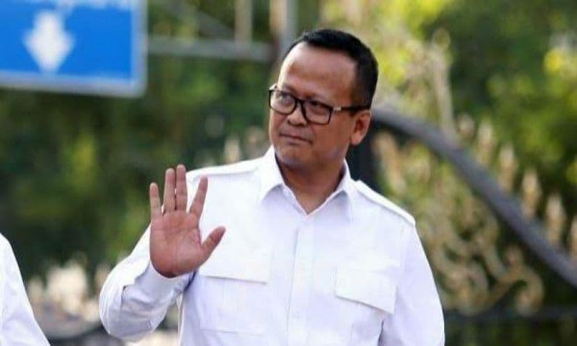 Jawab Protes Pendahulunya, Menteri Edhy Akan Transparan Berikan Data Eksportir Lobster