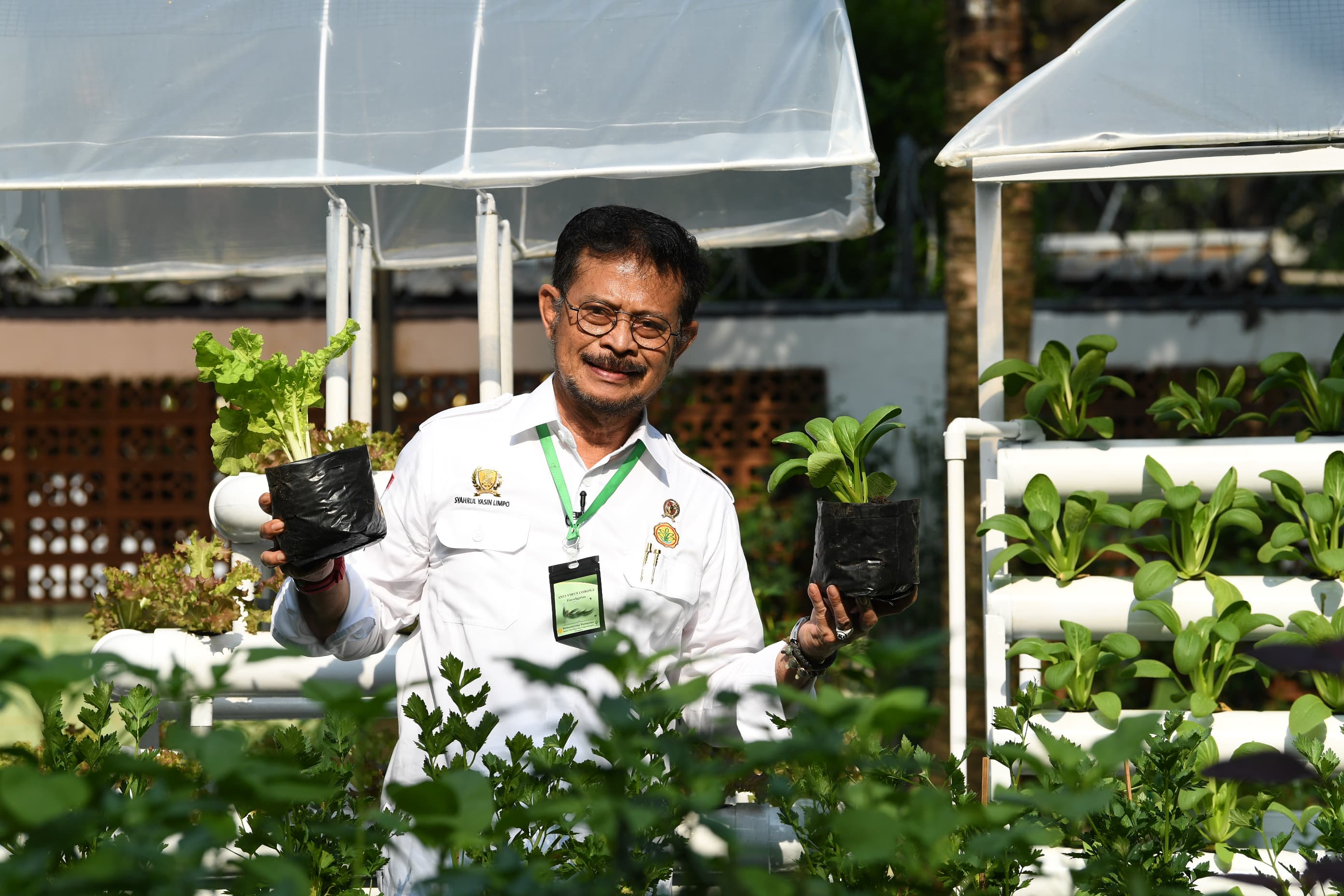 Kementan Kembangkan Program 1.000 Kampung Hortikultura