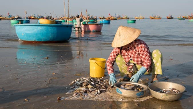 Demi Lindungi dan Berdayakan Nelayan Kecil, KKP Luncurkan RAN PPSK