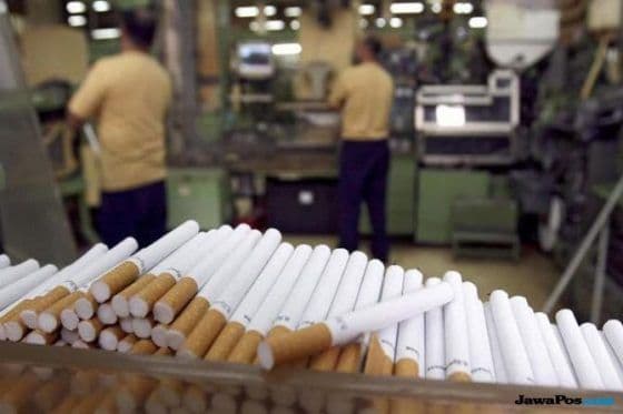 Larangan Bahan Tambahan Digodok, Industri Rokok Hadapi Ancaman PHK