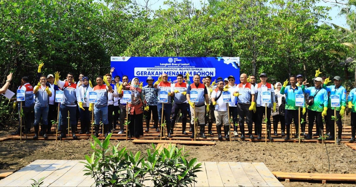 Komitmen Lingkungan, Pertamina Tanam 800 Mangrove di Operasional Kilang Cilacap