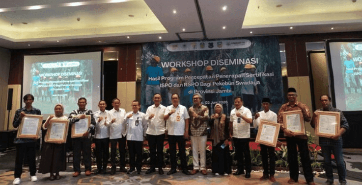 Pecah Rekor! Ribuan Petani Sawit Swadaya Jambi Sukses Kantongi Sertifikasi Ganda RSPO-ISPO, Kini Bisa Masuk Pasar Global