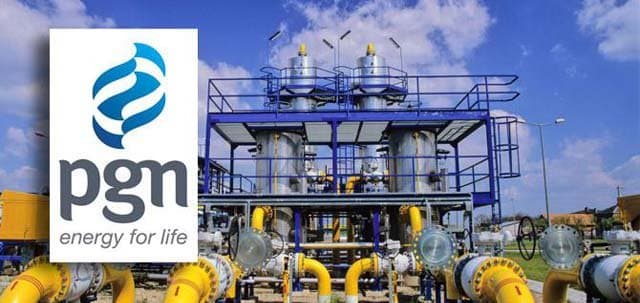 Kurangi Capex, Ini Alasan PGN