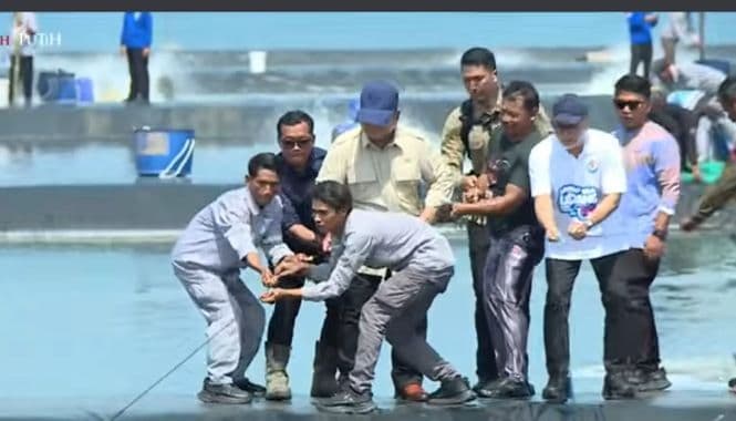 Banggakan Panen Udang di Kebumen, Prabowo Genjot Swasembada Protein Nasional