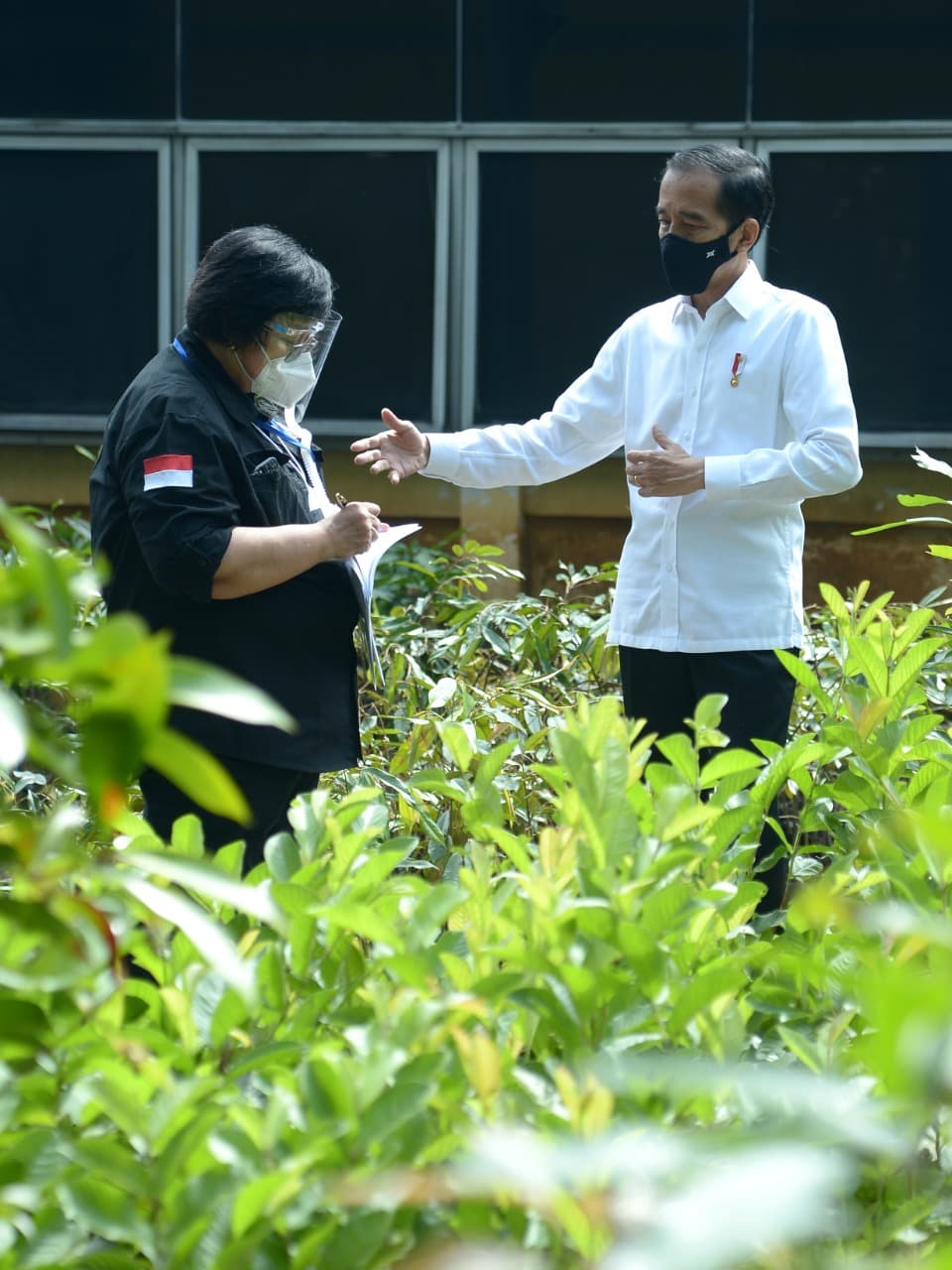 Presiden Tinjau Kesiapan Pusat Perbenihan untuk Atasi Bencana Ekologis