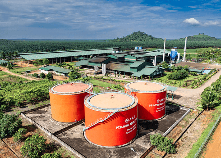 Austindo Nusantara Jaya Tbk Umumkan Penghentian Kegiatan Operasional Beberapa Entitas Anak Perseroan