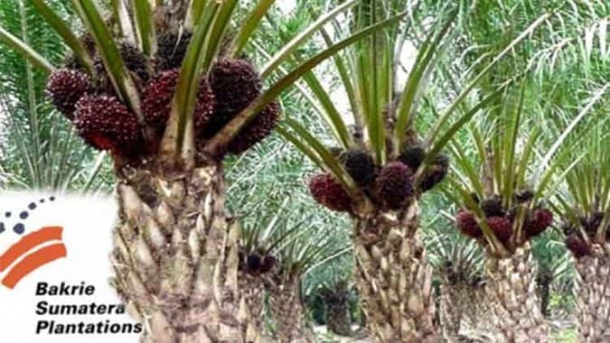 UNSP Lego Anak Usaha Senilai Rp193 Miliar