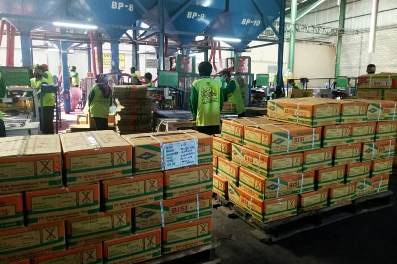 Laba BISI Melorot 24% di Tahun 2019