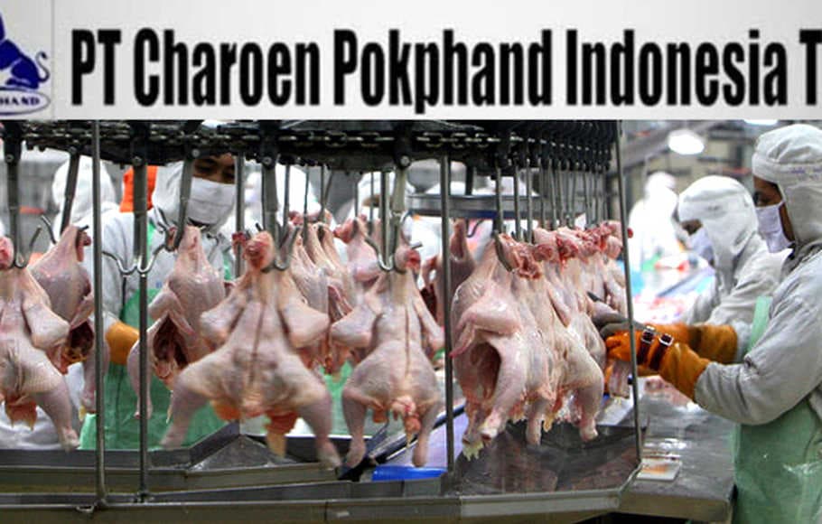 Laba CPIN Turun 20% di Tahun 2019